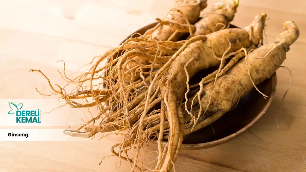 Ginseng 