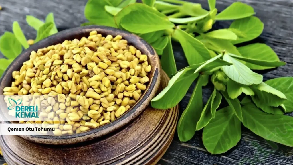 Çemen Otu Tohumu Faydaları