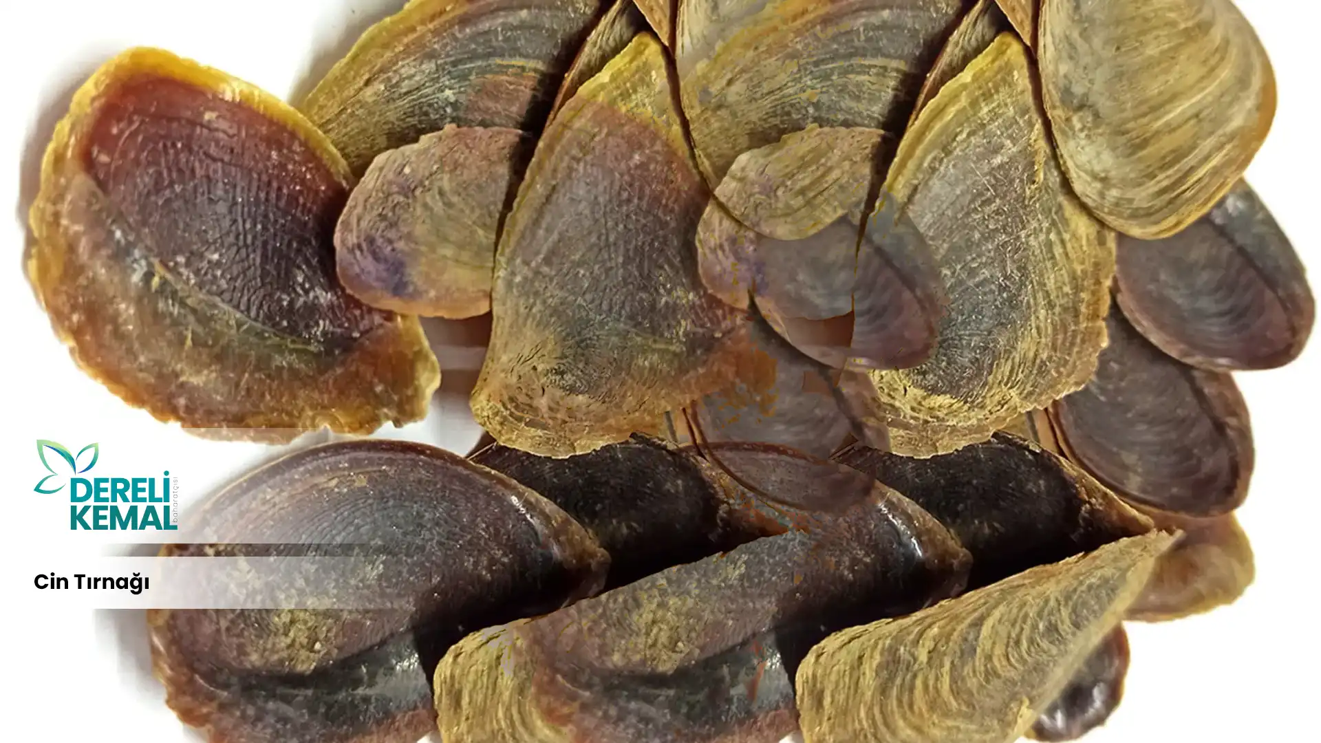 Cin Tırnağı Faydaları