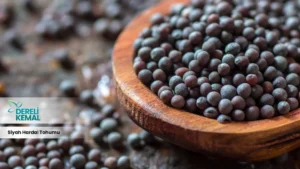 Siyah Hardal Tohumu