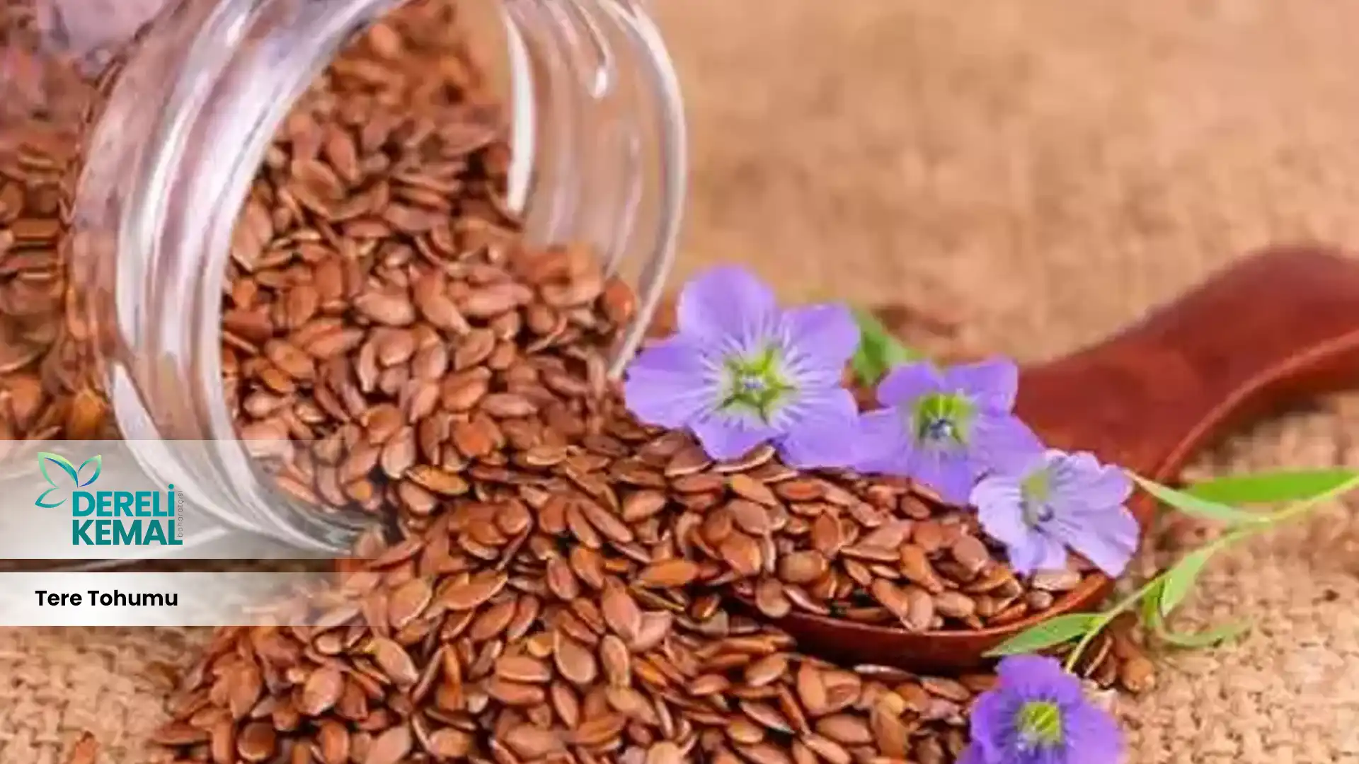 Tere Otu Tohumu