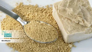 Bira Mayası Tozu: Sağlığınıza Güç Katacak Faydaları Keşfedin!