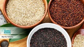 Ekşiotu Tohumu: Sağlığınıza Güç Katacak Doğal Bir Mucize