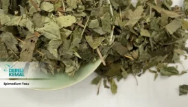 Epimedium Tozu: Güçlü Faydalarıyla Sağlığınıza Katkı Sağlayın