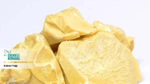 Kakao Yağı: Doğanın Gücüyle Cildinizi Yenileyin!