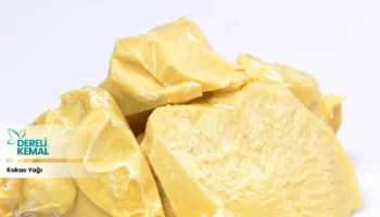 Kakao Yağı: Doğanın Gücüyle Cildinizi Yenileyin!