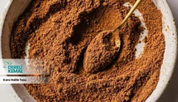 Kara Halile Tozu: Sağlığınıza Güç Katacak Doğal Bir Mucize