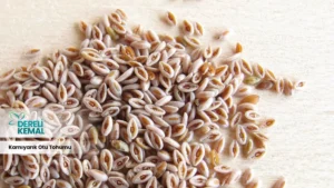 Karnıyarık Otu Tohumu: Sağlığınızı Güçlendiren Doğal Mucize