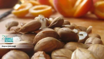 Kayısı Çekirdeği: Sağlığınıza Güç Katacak Faydaları Keşfedin!