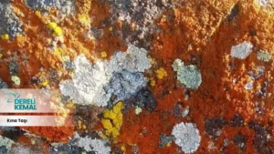 Kına Taşı: Geleneksel Güzellik ve Anlamıyla Hayatınıza Renk Katın