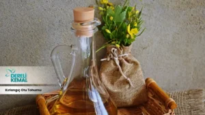 Kırlangıç Otu Tohumu Doğanın Gücüyle Sağlığınızı Destekleyin