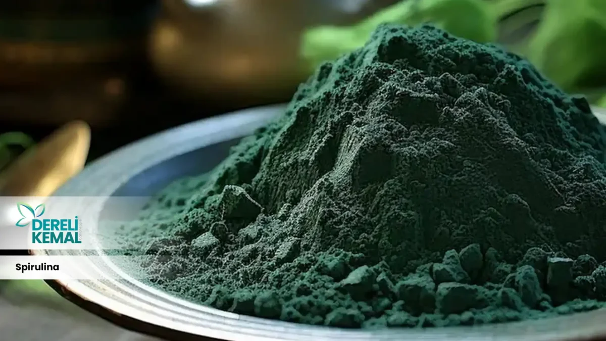 Spirulina Sağlığınızı Güçlendiren Süper Besin Kaynağı