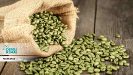 Yeşil Kahve Bitkisi: Sağlığınıza Güç Katacak Faydaları