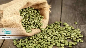 Yeşil Kahve Bitkisi: Sağlığınıza Güç Katacak Faydaları