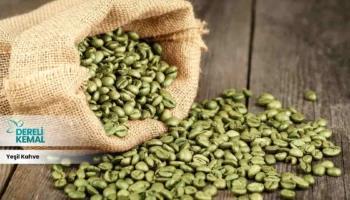 Yeşil Kahve Bitkisi: Sağlığınıza Güç Katacak Faydaları